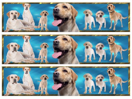 Yellow Labrador Retrievers Edible Cake Topper Image Strips ABPID54649 Cheap