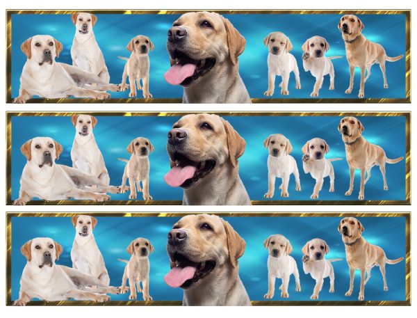 Yellow Labrador Retrievers Edible Cake Topper Image Strips ABPID54649 Cheap