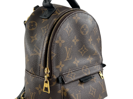 Louis Vuitton Monogram Canvas Palm Springs Mini Backpack Online Hot Sale